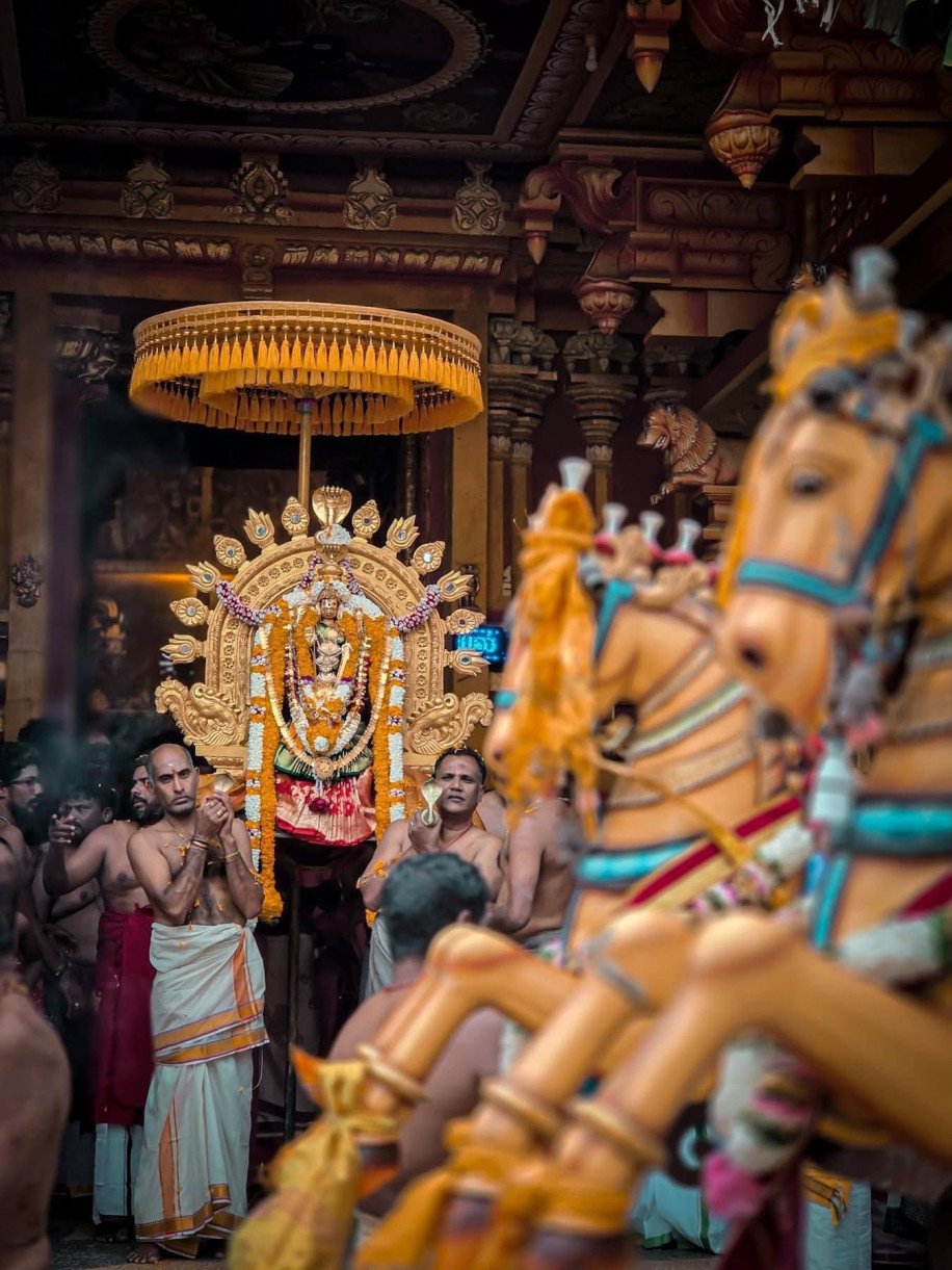 திருமஞ்சம் தனில் அமர்ந்து திருவருள் தந்தாள் தைப்பூச திருநாளில் நாகம்மாள்